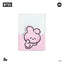 BT21 Minini passport case Line Friends
