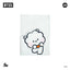 BT21 Minini passport case Line Friends