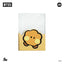 BT21 Minini passport case Line Friends
